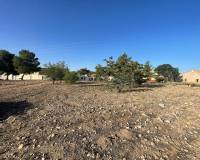Wederverkoop - Land - Pinoso - 