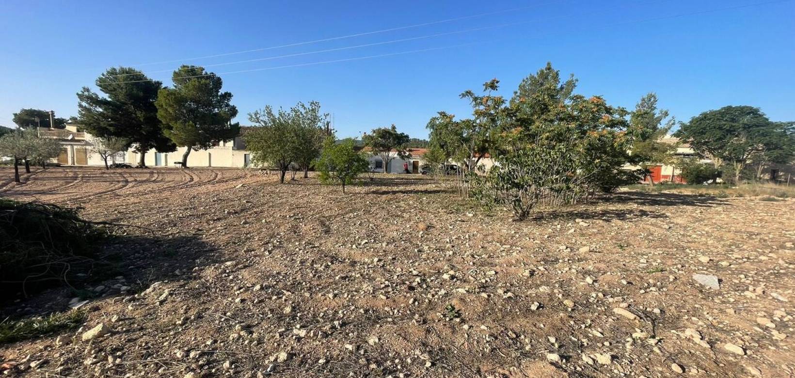 Wederverkoop - Land - Pinoso - 