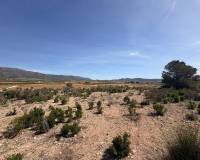 Wederverkoop - Land - Pinoso - 