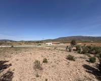 Wederverkoop - Land - Pinoso - 