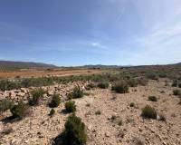Wederverkoop - Land - Pinoso - 