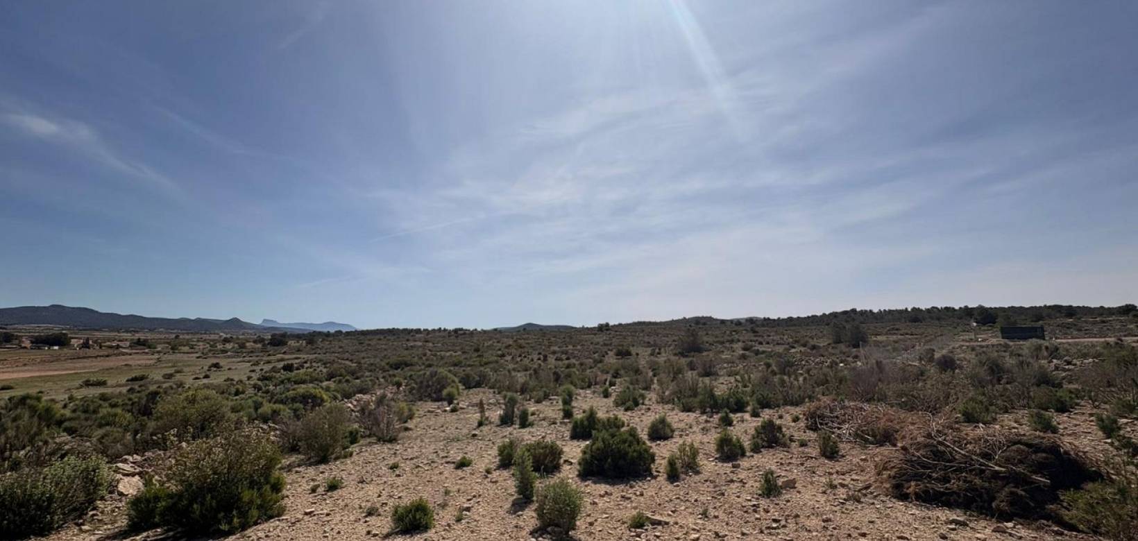Wederverkoop - Land - Pinoso - 
