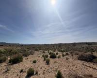 Wederverkoop - Land - Pinoso - 