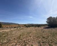 Wederverkoop - Land - Pinoso - 