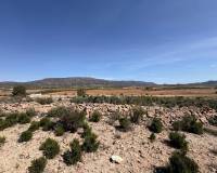 Wederverkoop - Land - Pinoso - 