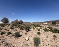 Wederverkoop - Land - Pinoso - 
