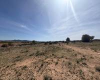 Wederverkoop - Land - Pinoso - 