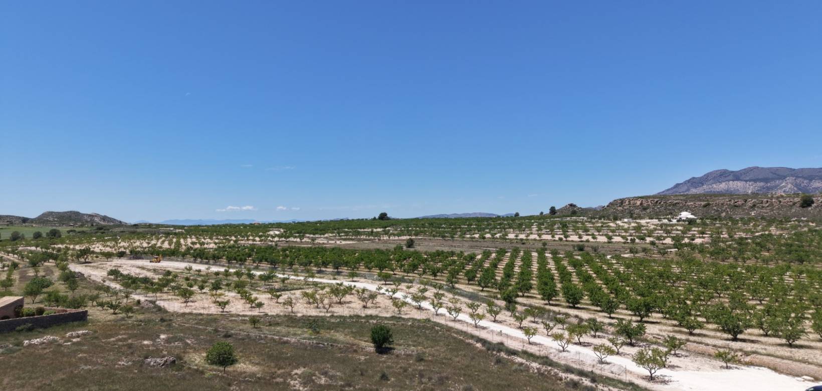 Wederverkoop - Land - Pinoso - 