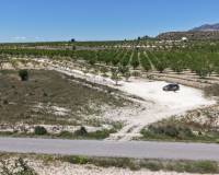 Wederverkoop - Land - Pinoso - 