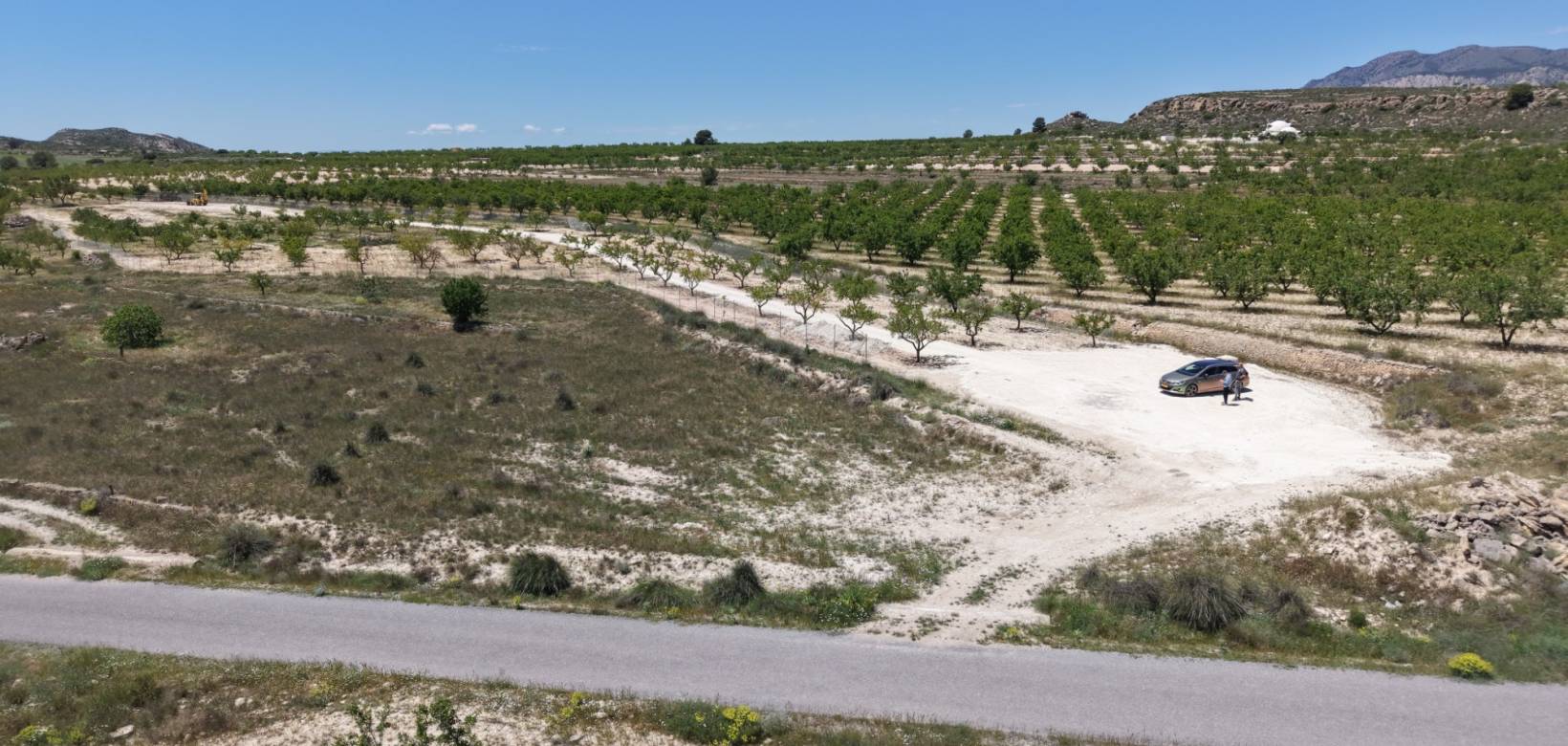 Wederverkoop - Land - Pinoso - 