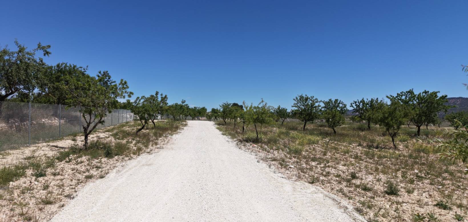 Wederverkoop - Land - Pinoso - 