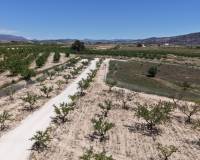 Wederverkoop - Land - Pinoso - 