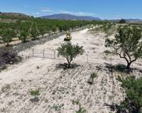 Wederverkoop - Land - Pinoso - 