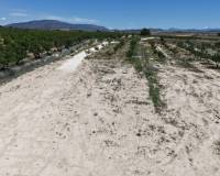 Wederverkoop - Land - Pinoso - 