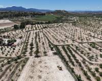 Wederverkoop - Land - Pinoso - 