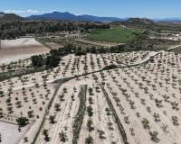 Wederverkoop - Land - Pinoso - 