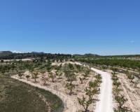 Wederverkoop - Land - Pinoso - 