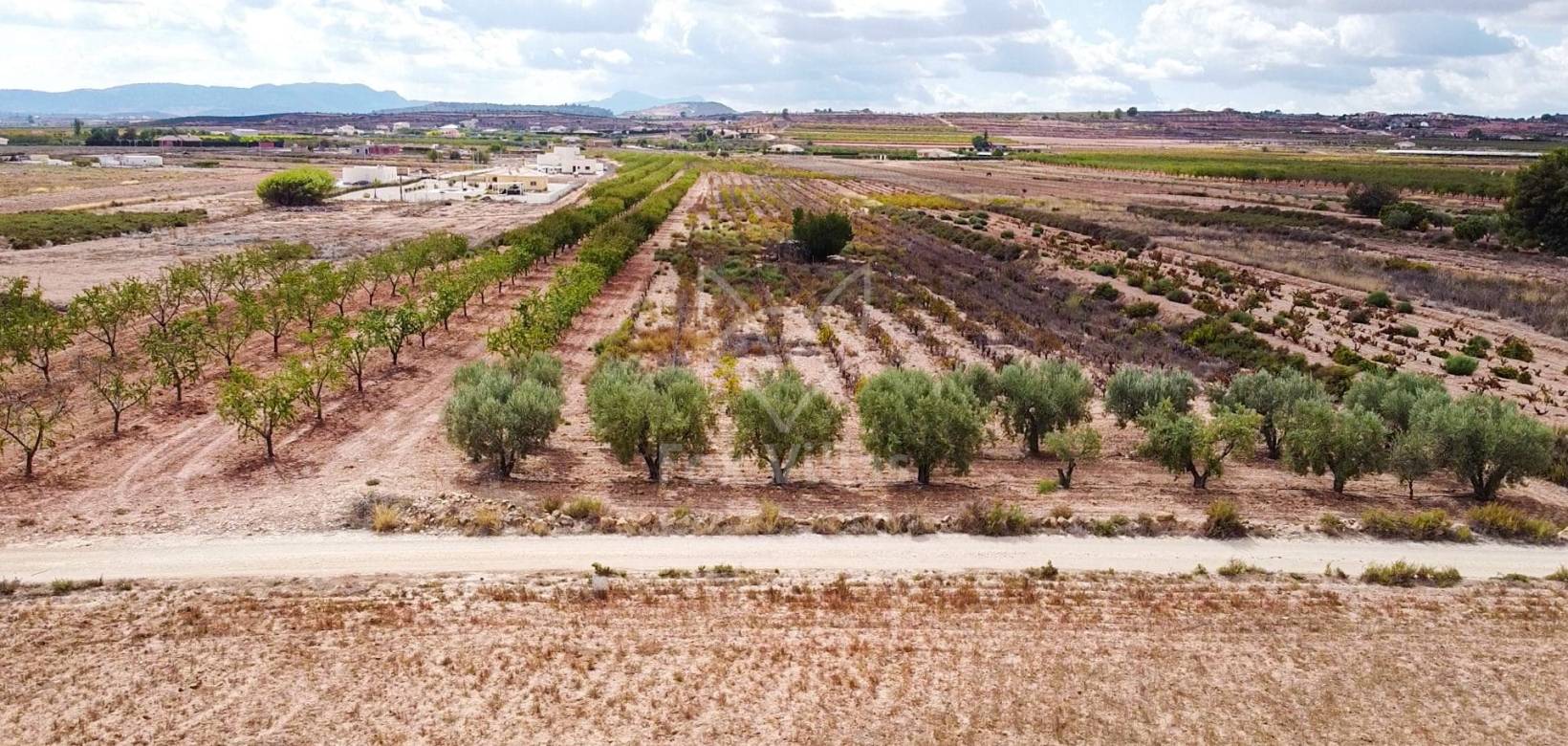 Wederverkoop - Land - Pinoso - 