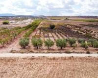 Wederverkoop - Land - Pinoso - 