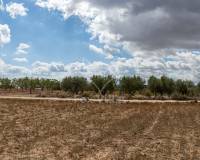 Wederverkoop - Land - Pinoso - 