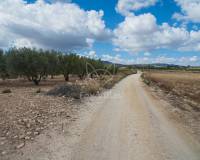 Wederverkoop - Land - Pinoso - 