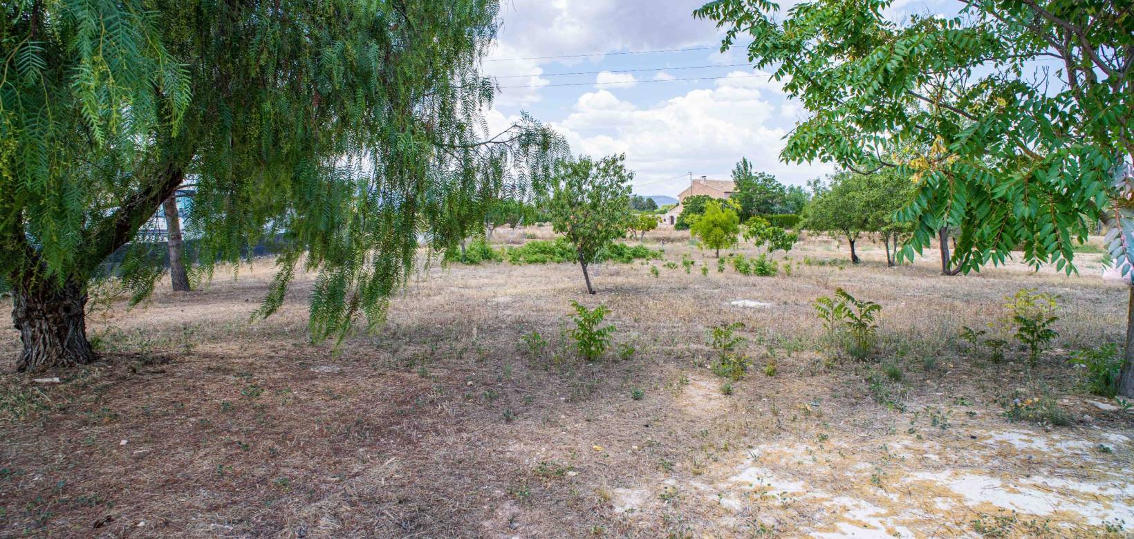 Wederverkoop - Land - Pinoso - 