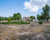 Wederverkoop - Land - Pinoso - 