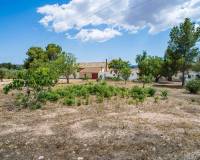 Wederverkoop - Land - Pinoso - 