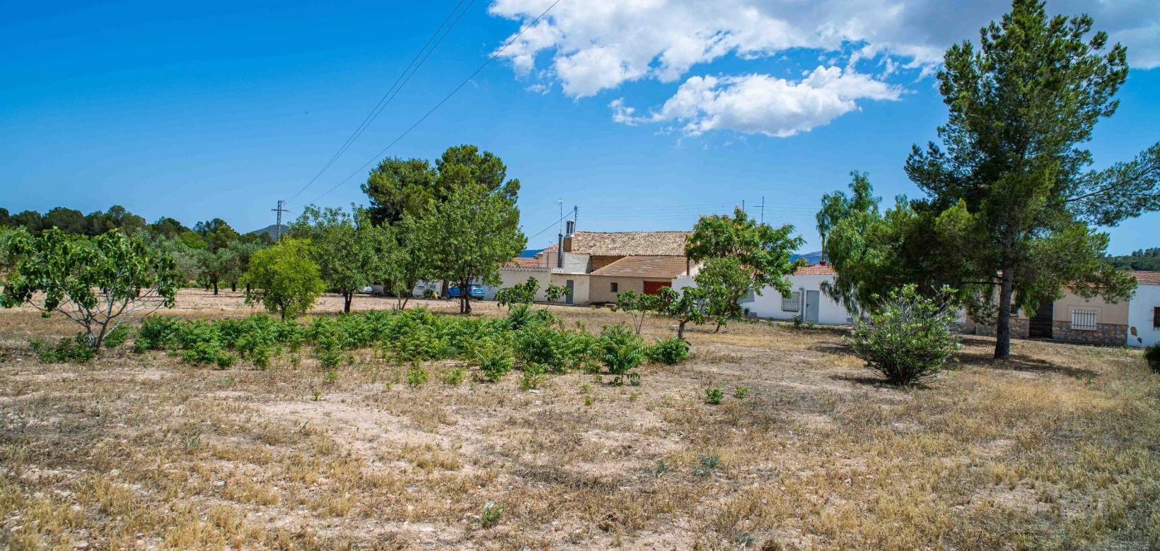 Wederverkoop - Land - Pinoso - 