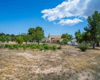 Wederverkoop - Land - Pinoso - 