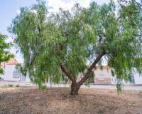 Wederverkoop - Land - Pinoso - 