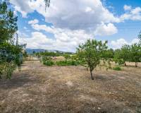Wederverkoop - Land - Pinoso - 