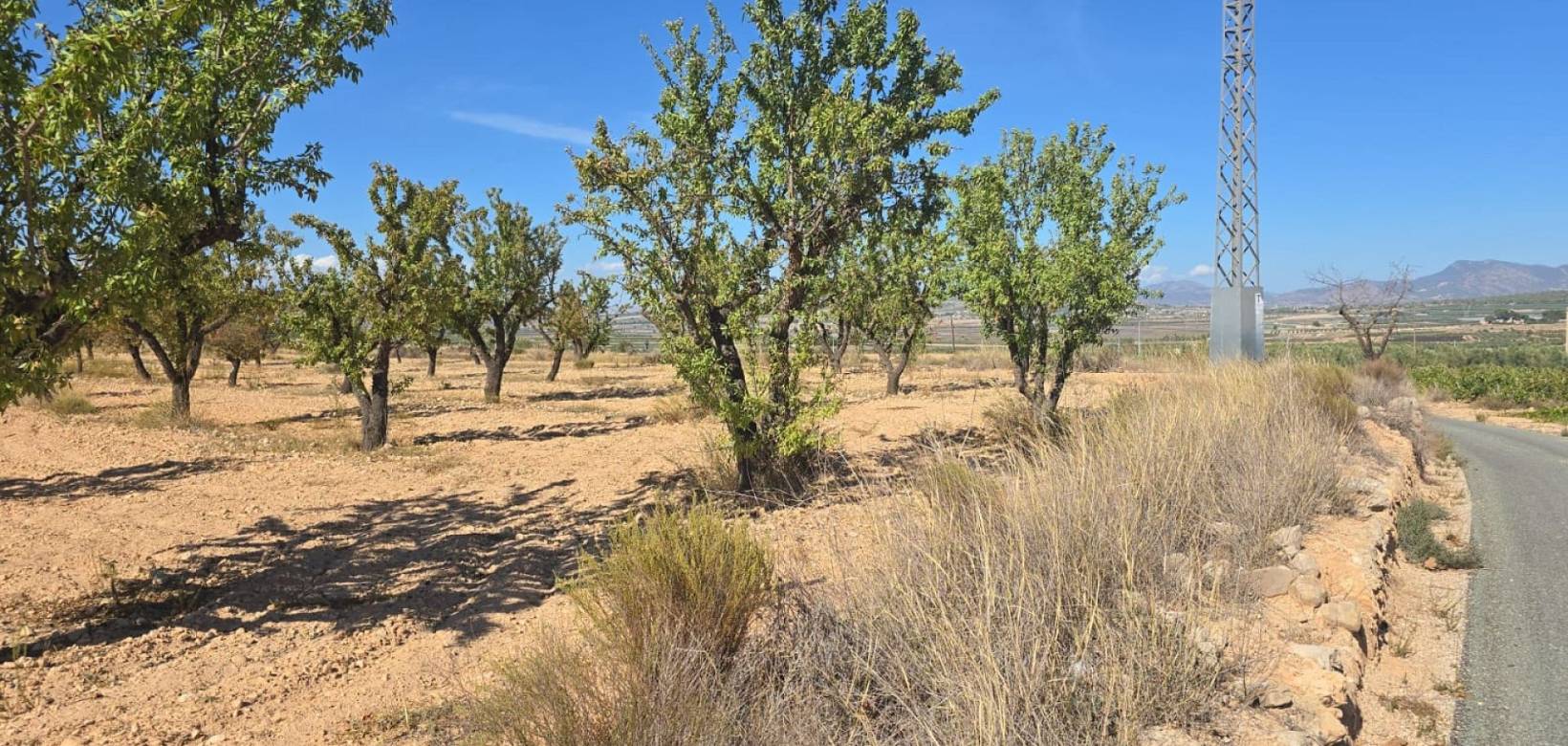 Wederverkoop - Land - Salinas