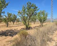 Wederverkoop - Land - Salinas