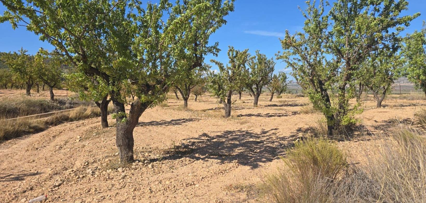 Wederverkoop - Land - Salinas
