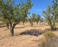 Wederverkoop - Land - Salinas