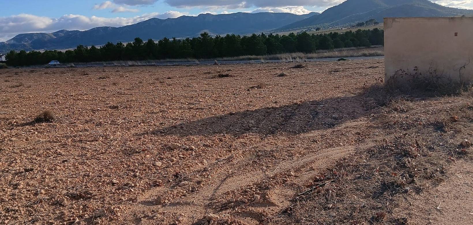 Wederverkoop - Land - Yecla