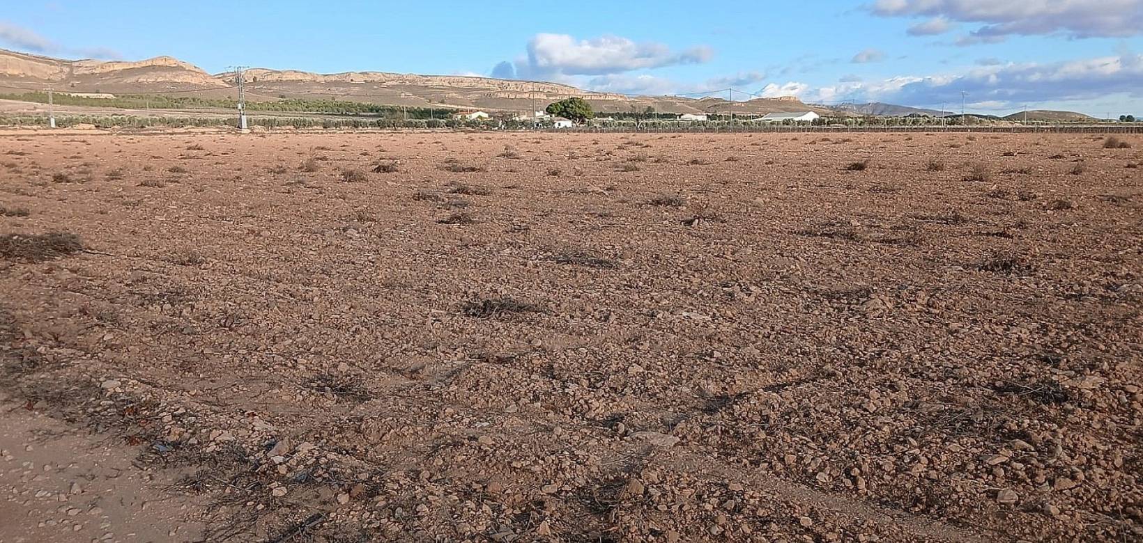 Wederverkoop - Land - Yecla