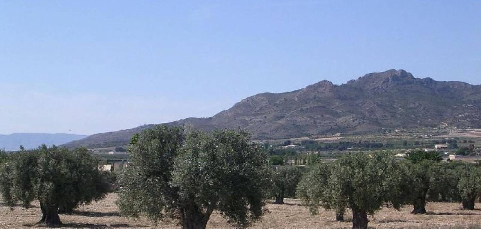 Wederverkoop - Land - 