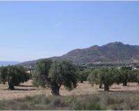 Wederverkoop - Land - 