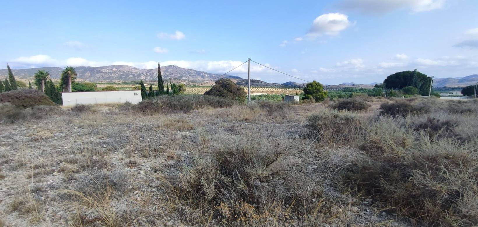 Wederverkoop - Land - 