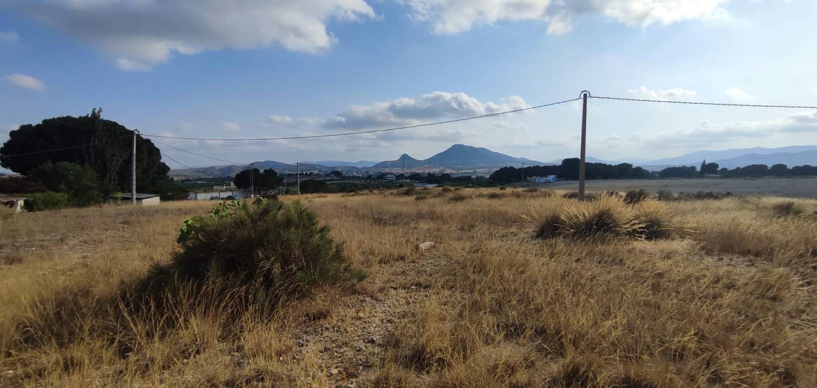 Wederverkoop - Land - 