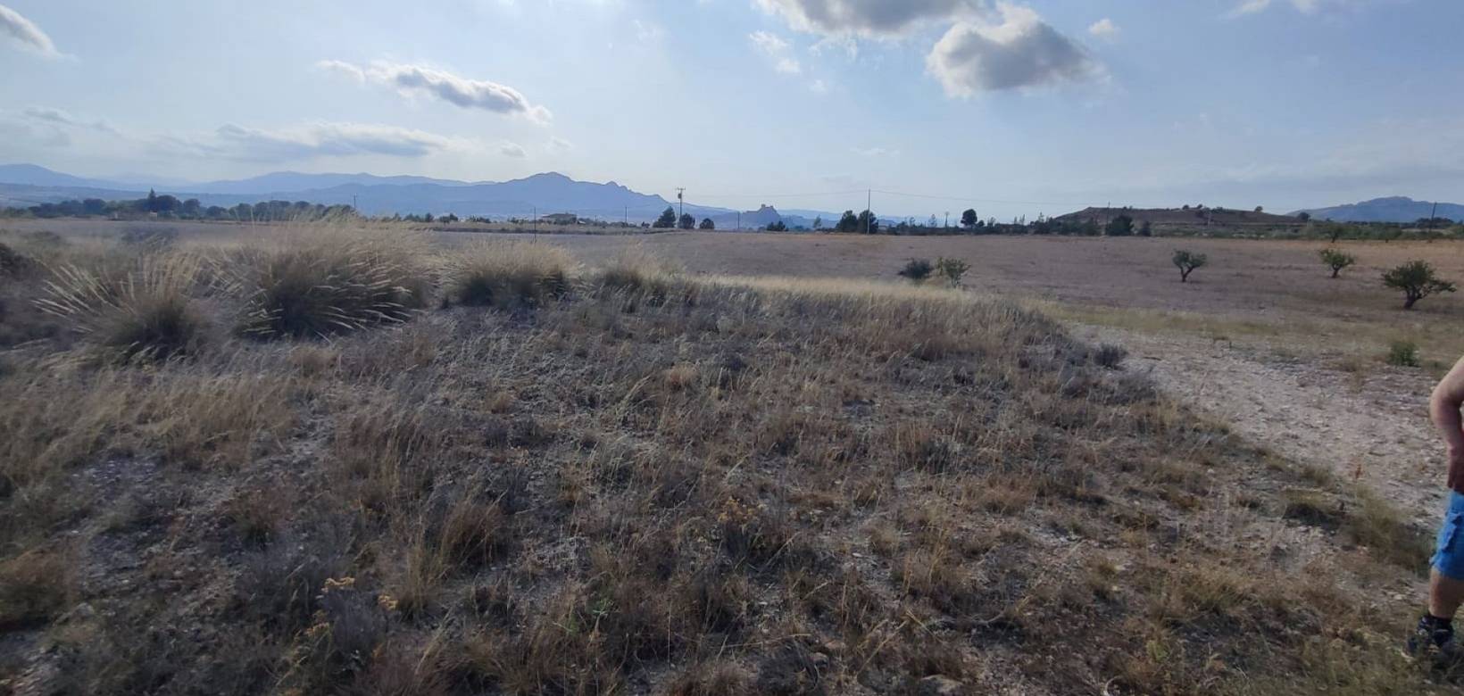 Wederverkoop - Land - 