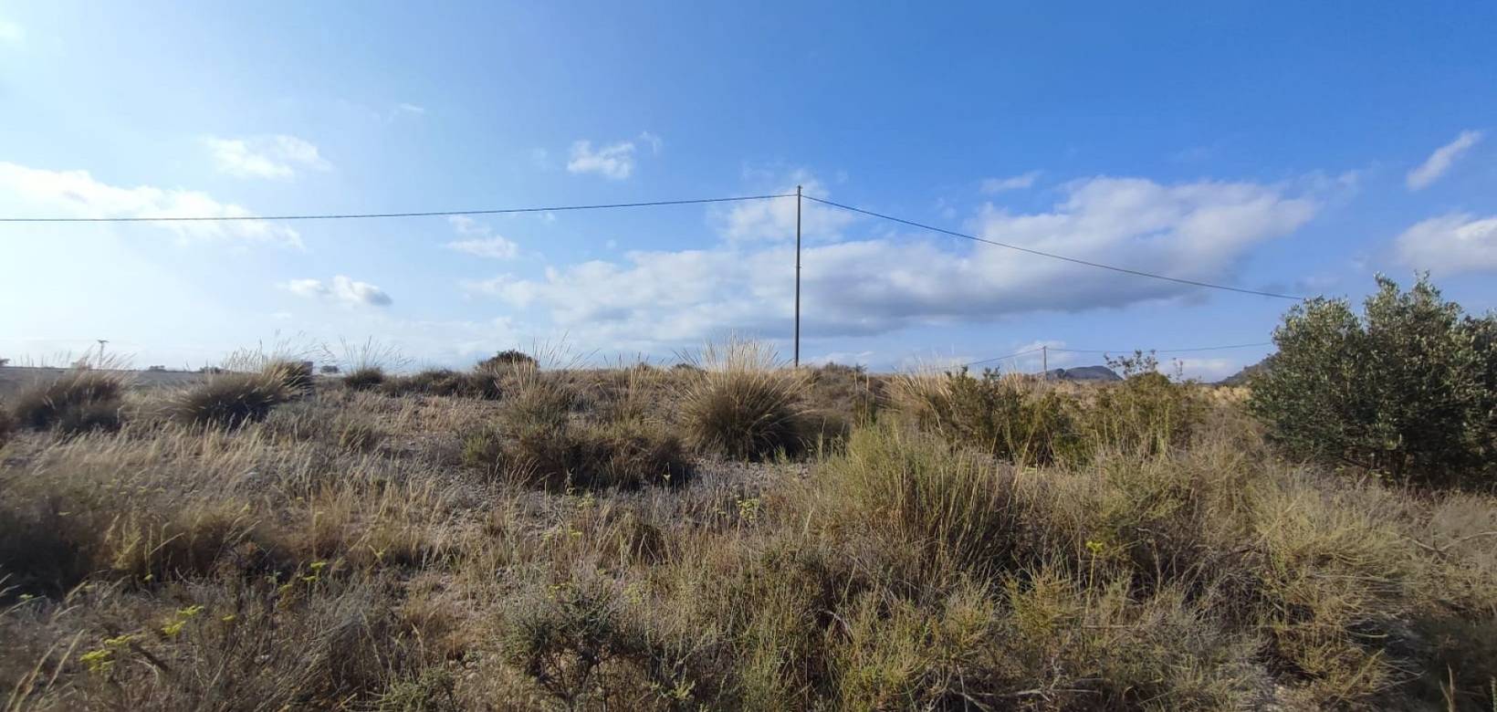 Wederverkoop - Land - 