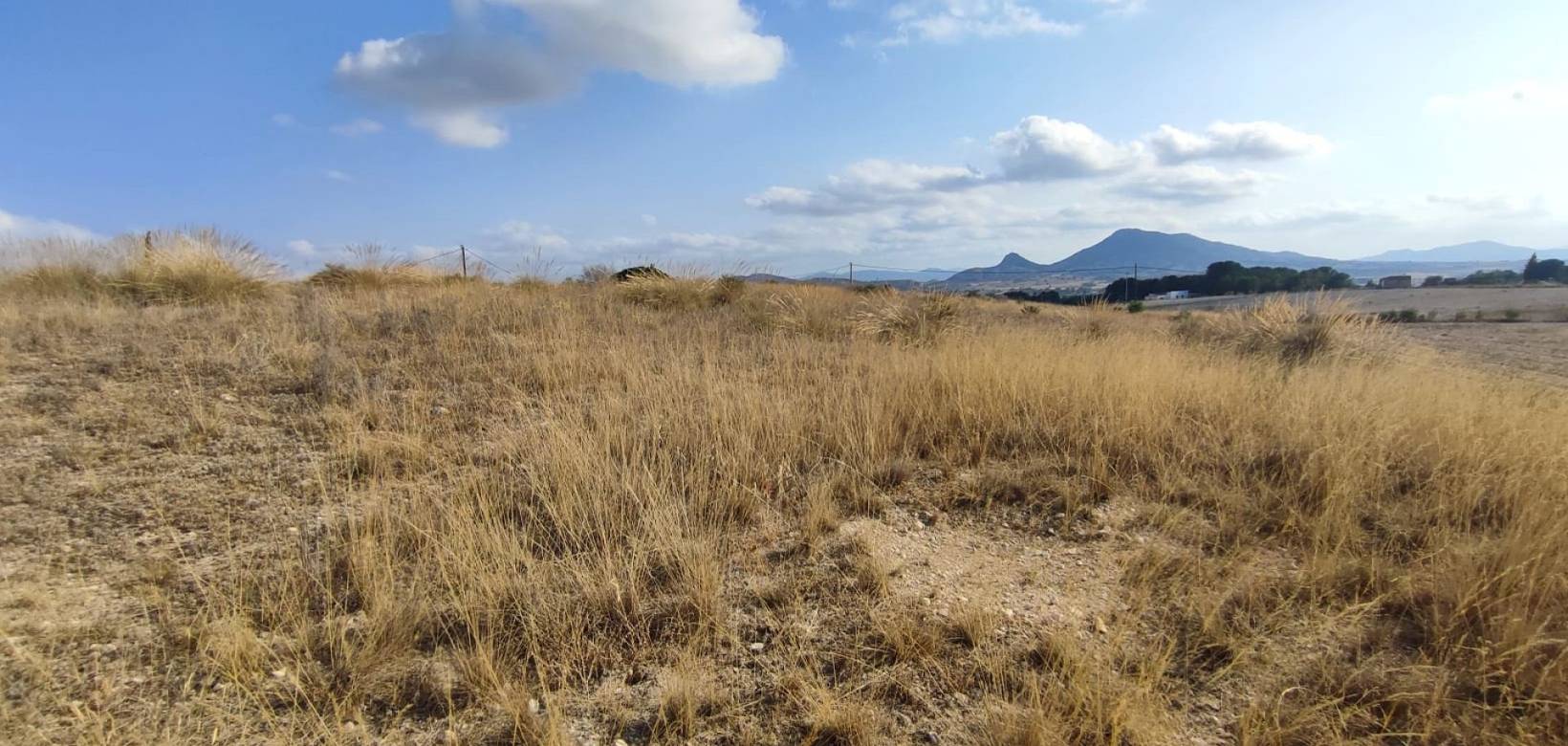 Wederverkoop - Land - 