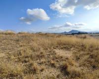 Wederverkoop - Land - 