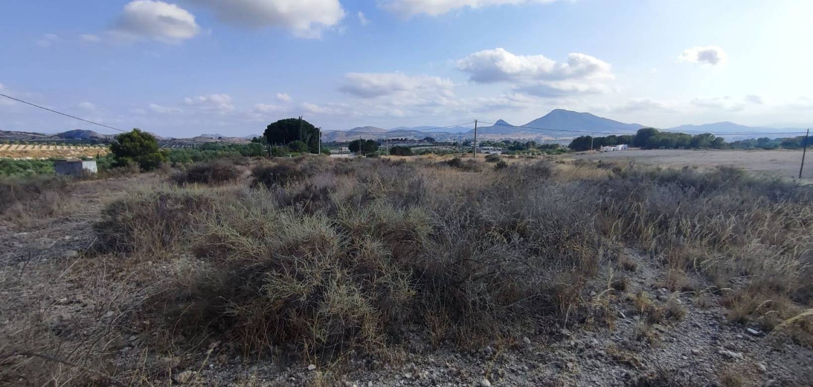 Wederverkoop - Land - 