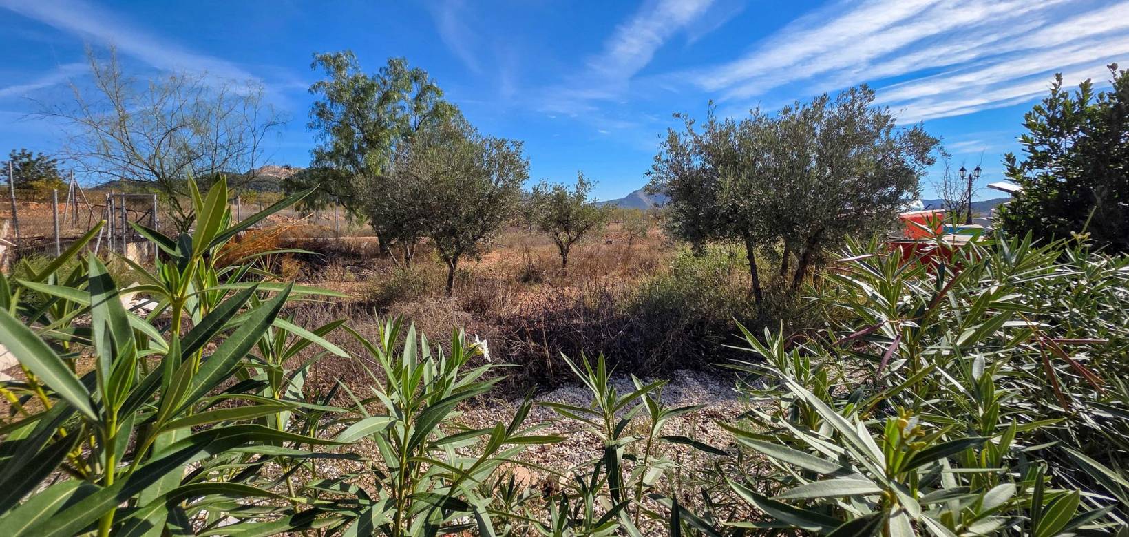 Wederverkoop - Landhuis - La Solana