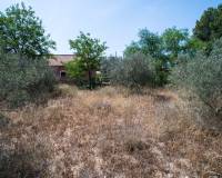 Wederverkoop - Landhuis - Pinoso - 