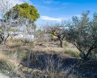 Wederverkoop - Landhuis - Pinoso - 
